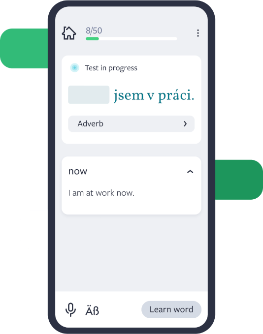 What is the Lingvist test?