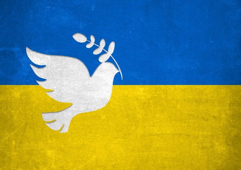 A white dove over the flag of Ukraine