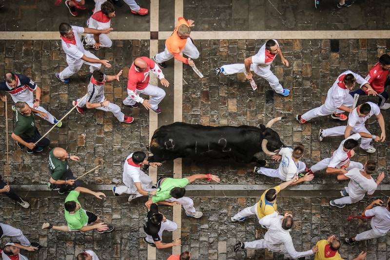 Running bulls Spain